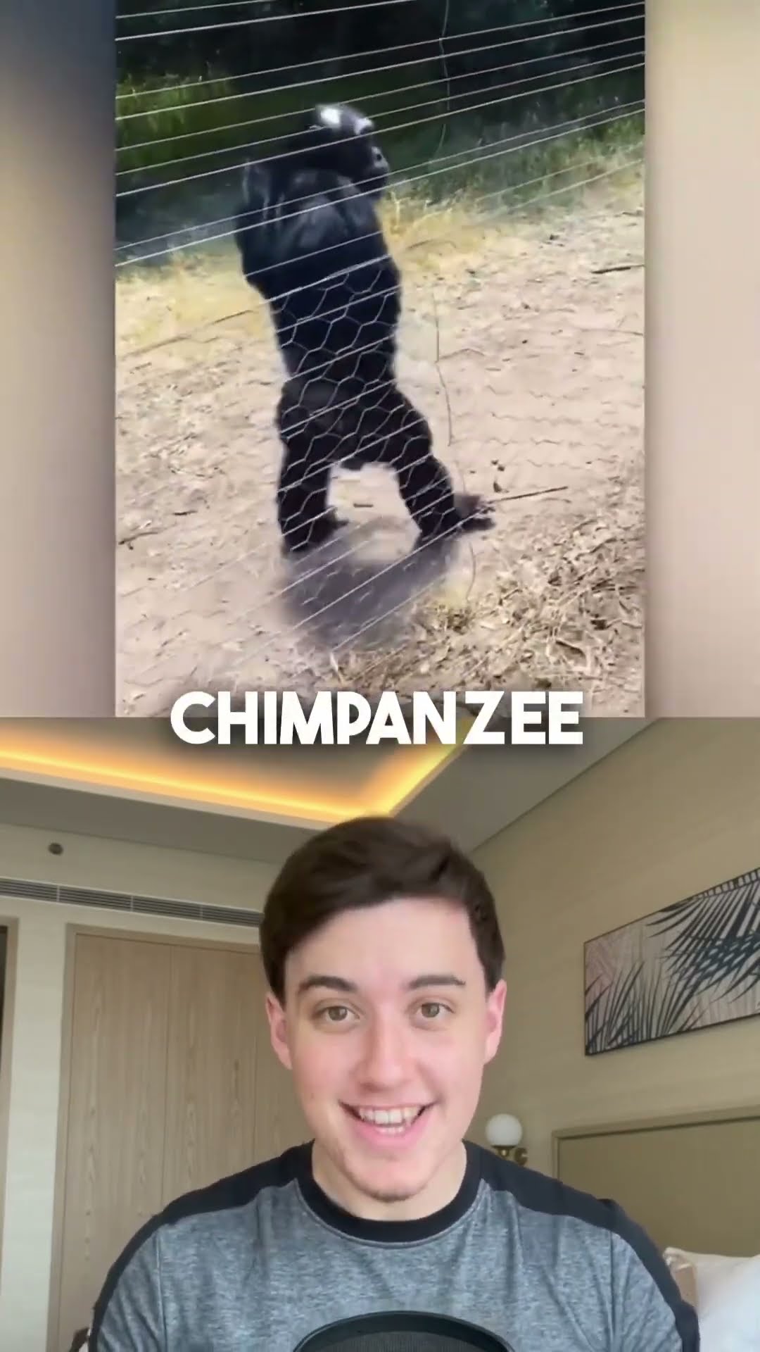 Amazing animal intelligence and behavior!