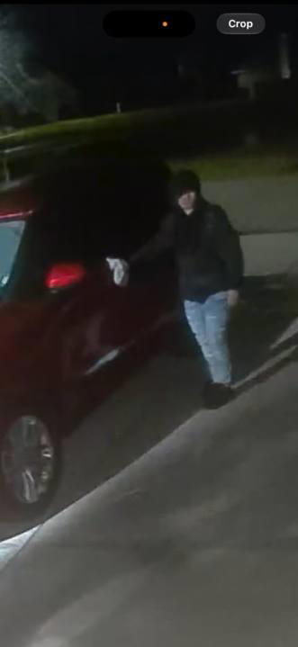 Public urged to assist in Callaway car burglary probe