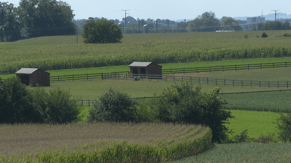 Some Amish recall COVID dictates and question government on measles