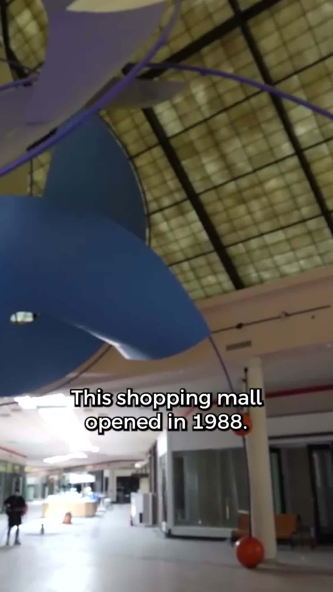 Inside the mall: forgotten logos and neon