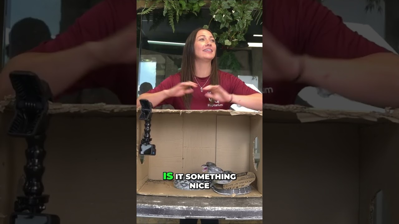 They told her to reach inside... seconds later the snake struck at her