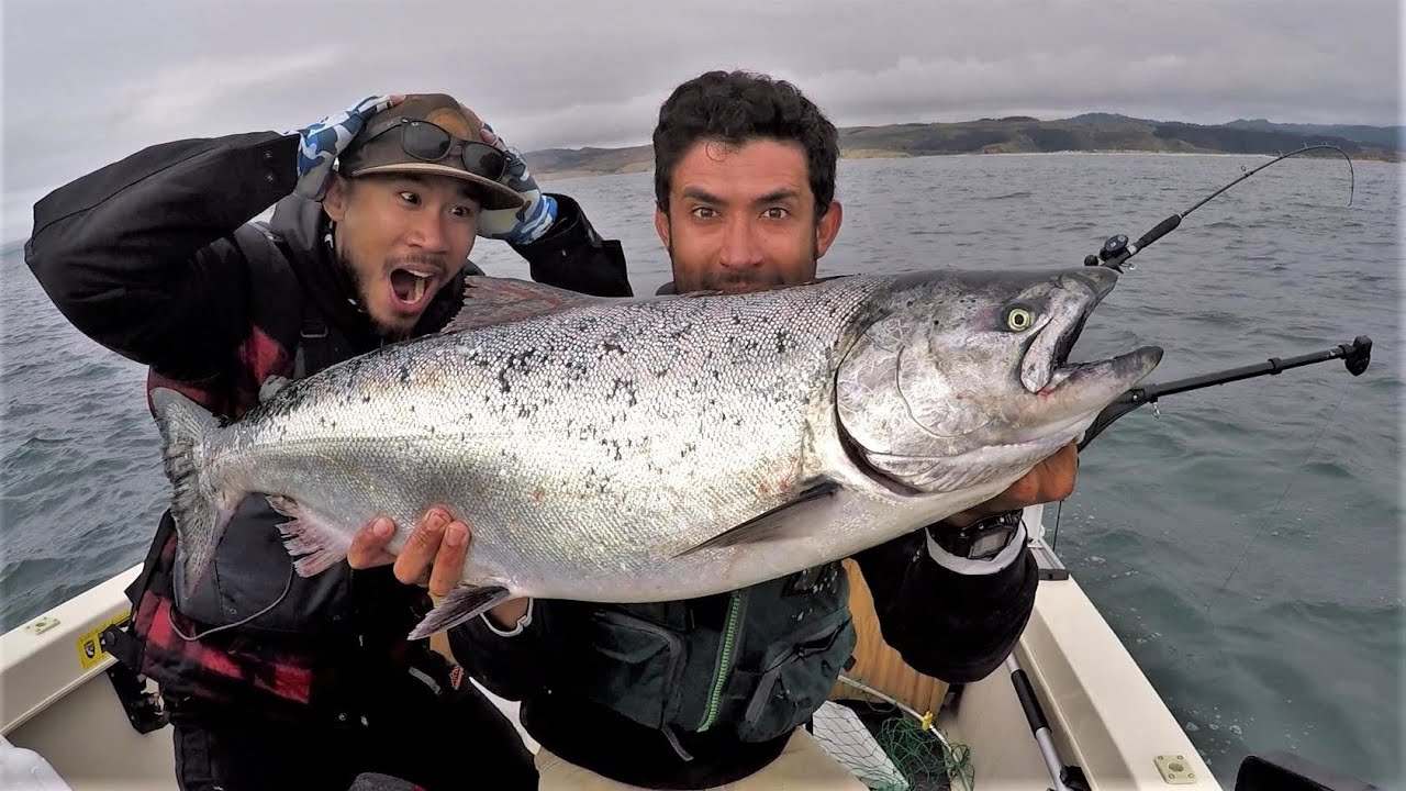 I still cannot believe we caught this fish! Salmon redemption!