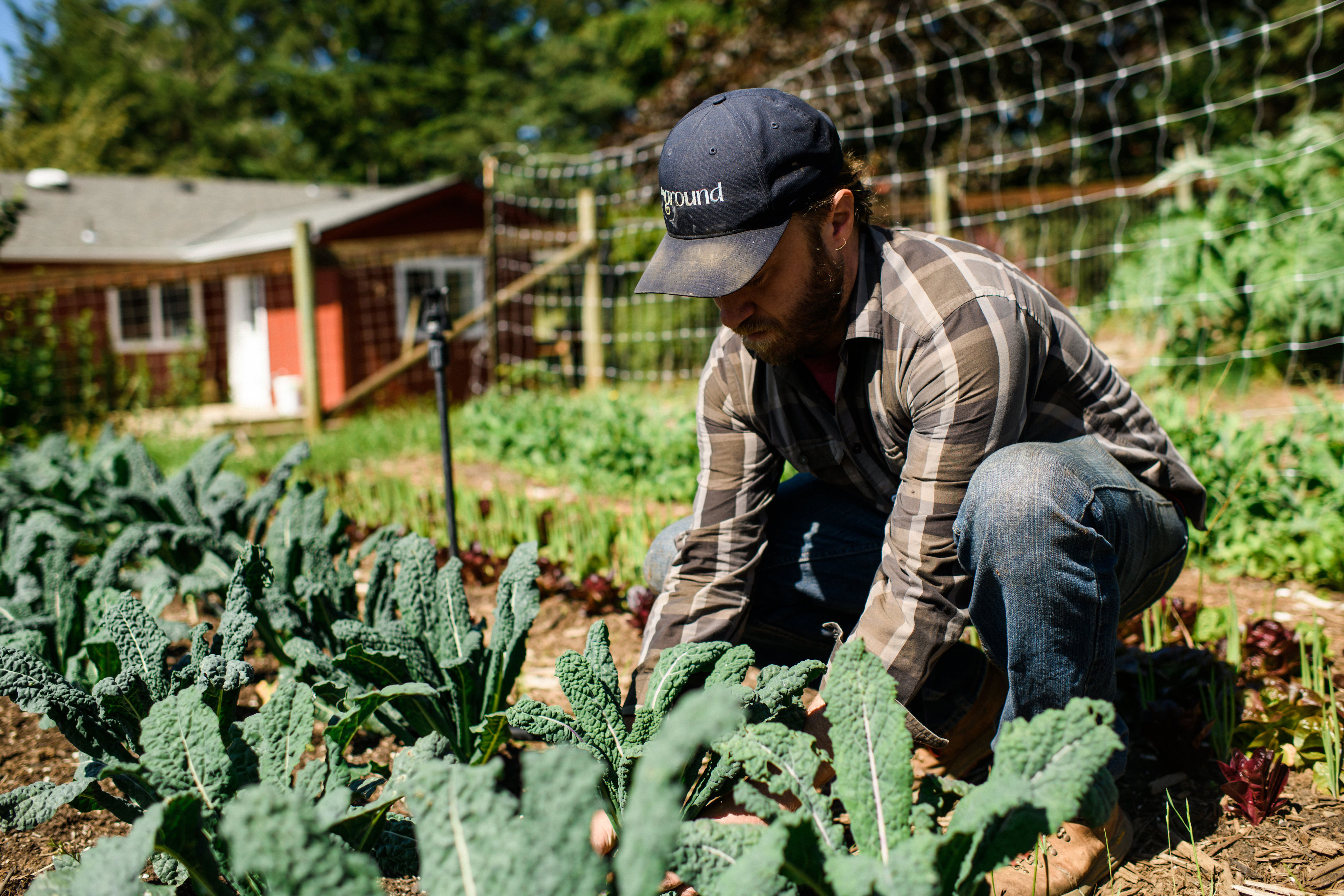Two Willamette Valley farm-to-table dining standout restaurants to close