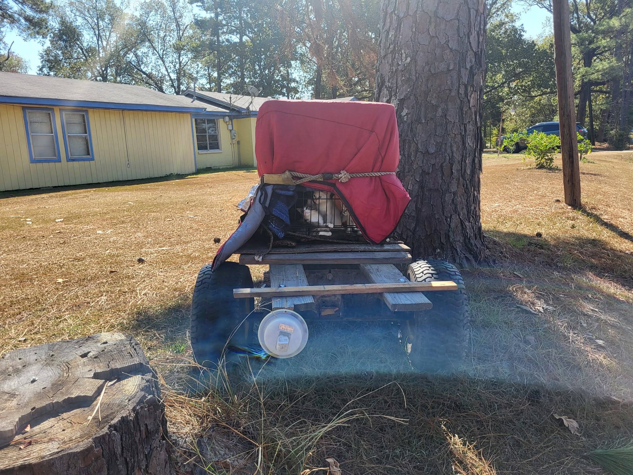 Homeowner finds trailer abandoned in her yard and realizes it's hiding babies
