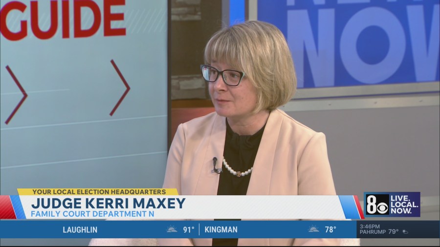 Judge Kerri Maxey running against familiar opponent in Family Court ...