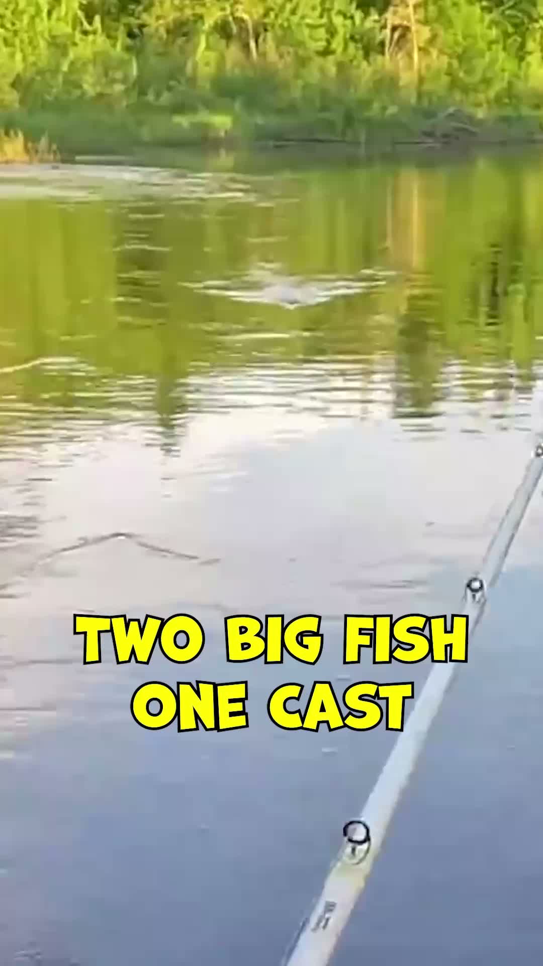 I landed a monster musky on topwater 😱
