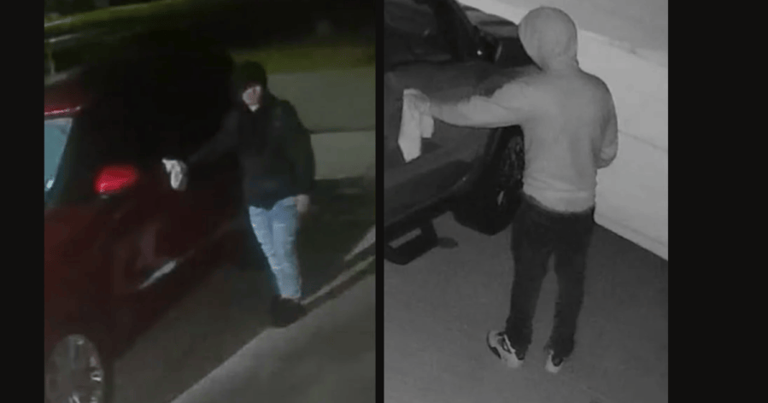 Public urged to assist in Callaway car burglary probe