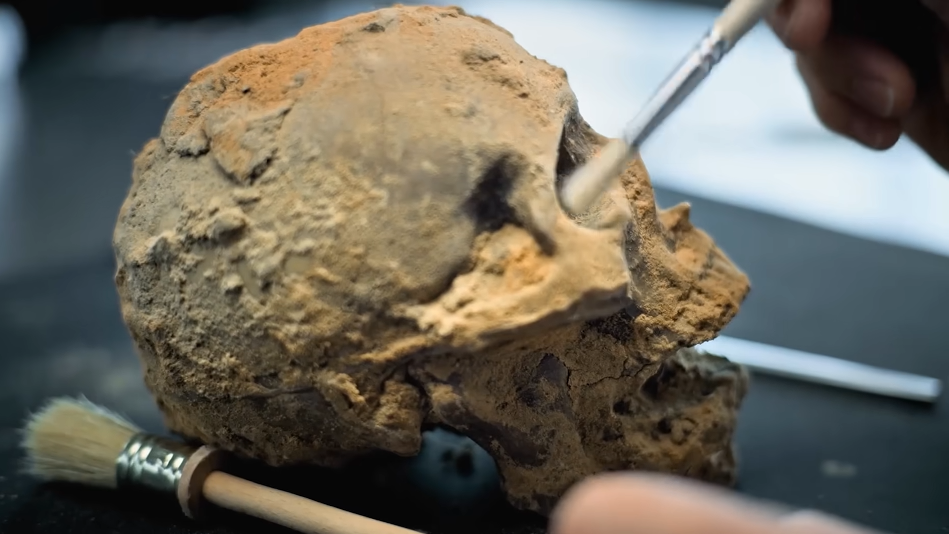 Scientists reconstructed King Tut's father's face - he looked nothing ...