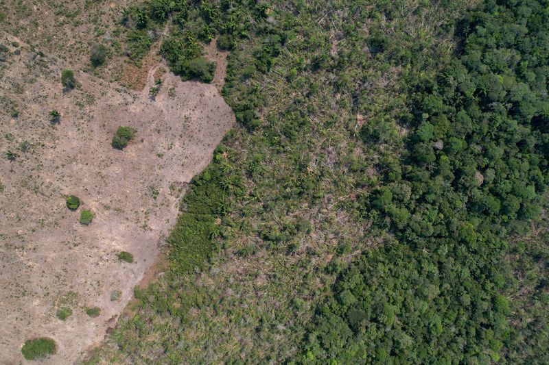 Deforestation in Brazil's Amazon falls to all-time low