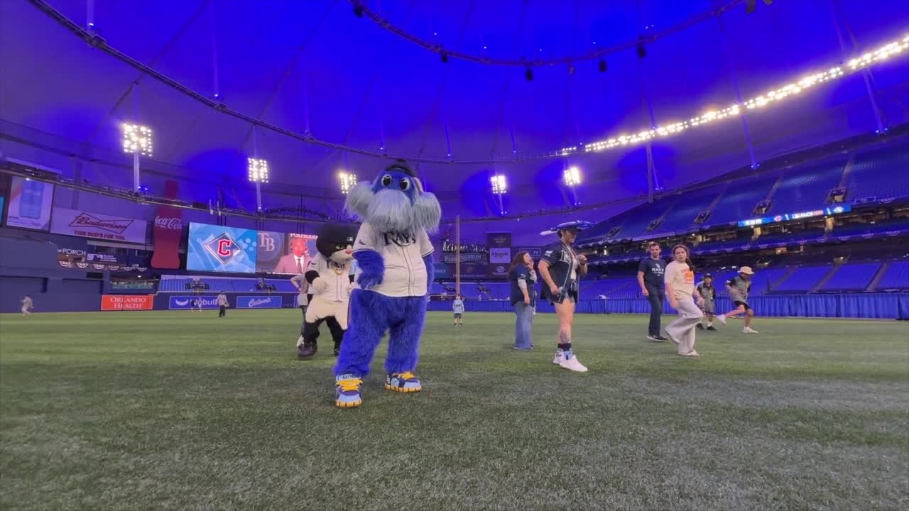 Rays fans make the most of postponed ALCS game during watch party at ...