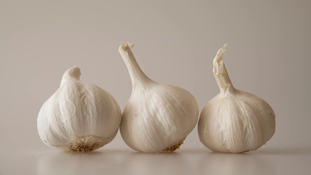 Garlic lovers’ guide to flavor and health