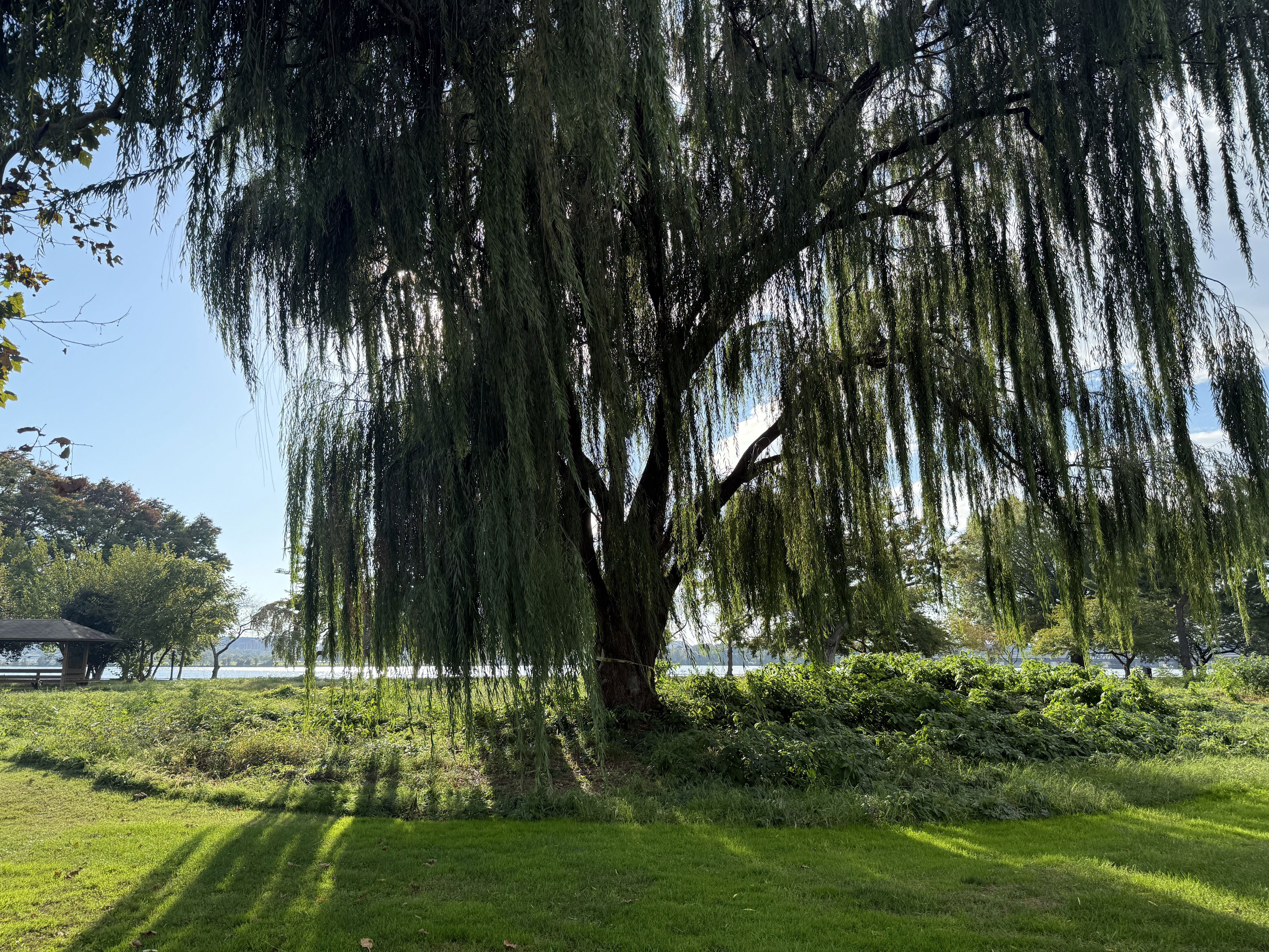 He's suing to stymie Trump's takeover of East Potomac Park's golf ...