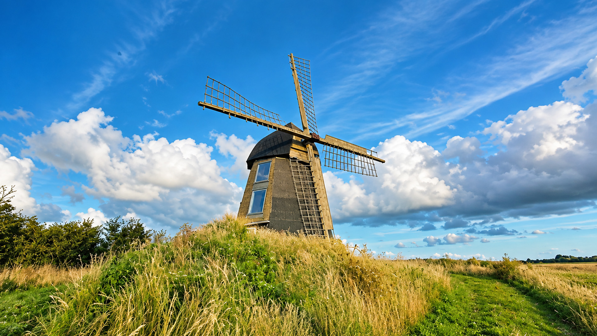 A historic windmill stands among Denmark's golden fields