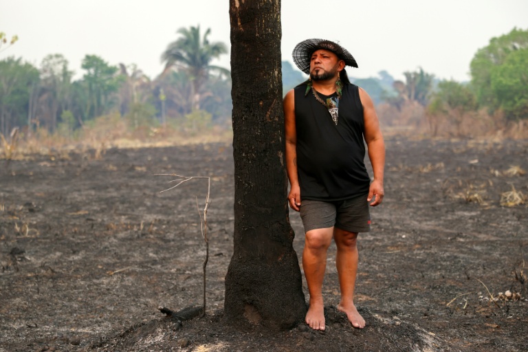 Deforestation in Brazil Amazon hits nearly four-decade low