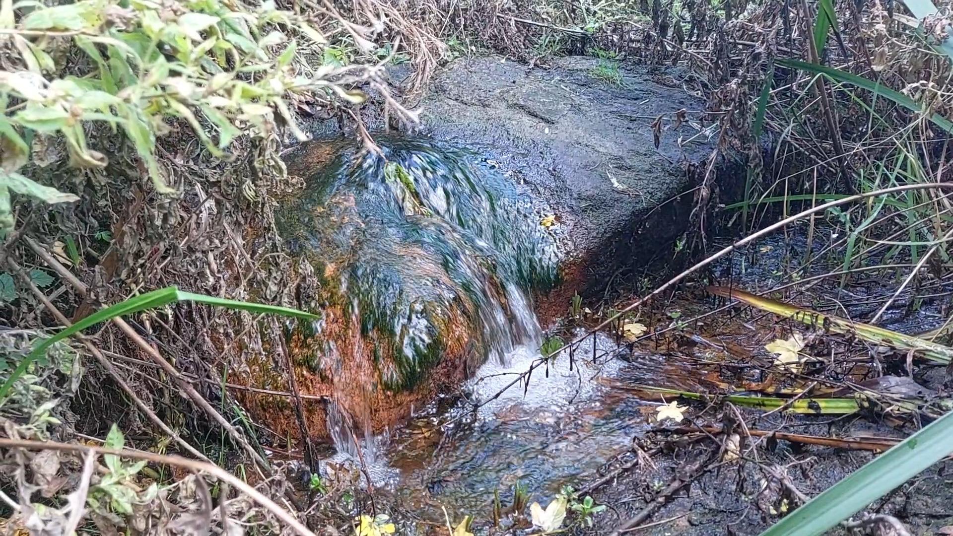 The hidden Peterborough natural water spring described as 'absolutely ...