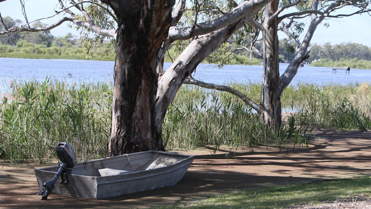 Urgent search after man vanishes on Murray River
