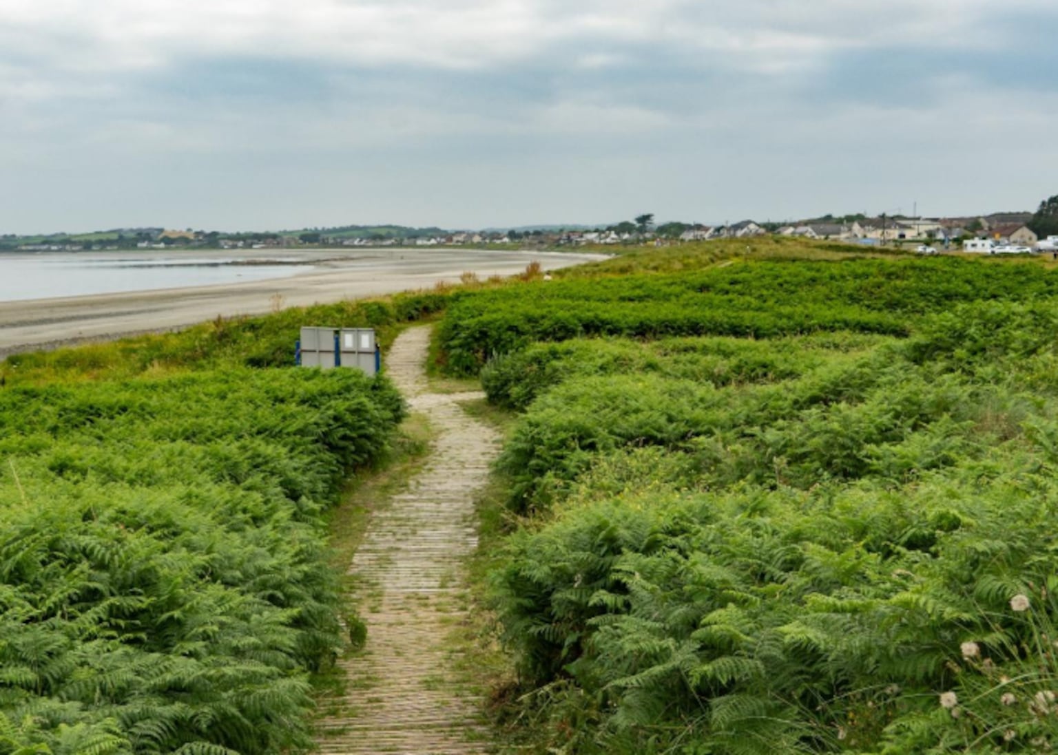 DUP accused of forcing through damaging council beach cleaning ...
