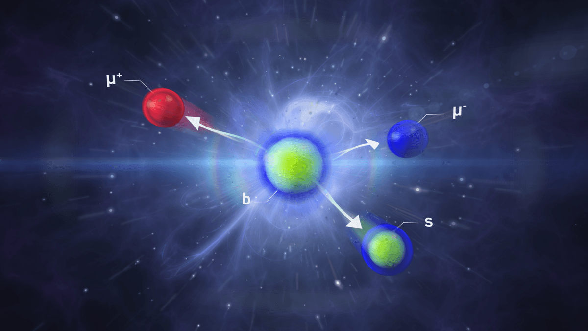 Decaying beauty particles show intriguing hints at physics beyond the ...