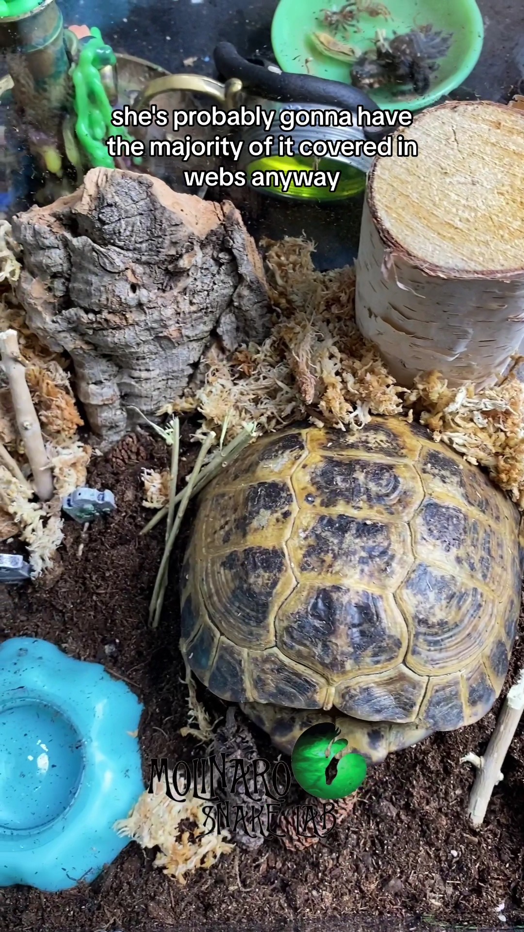 New enclosure