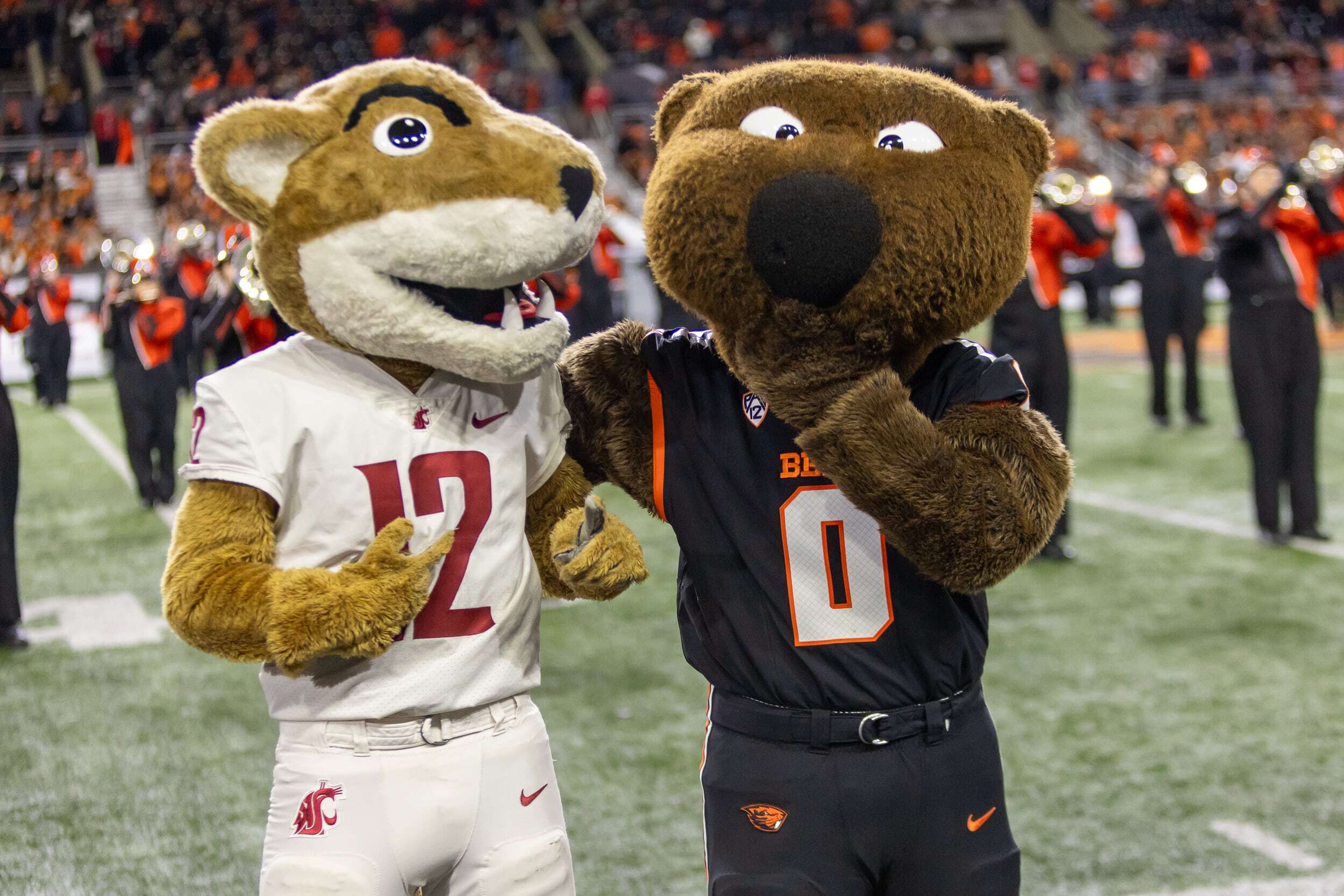 What time, TV channel is Oregon State vs. Washington State today? Odds ...