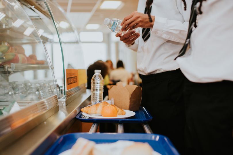 Irish school meals provider ordered to shut after rodent droppings ...