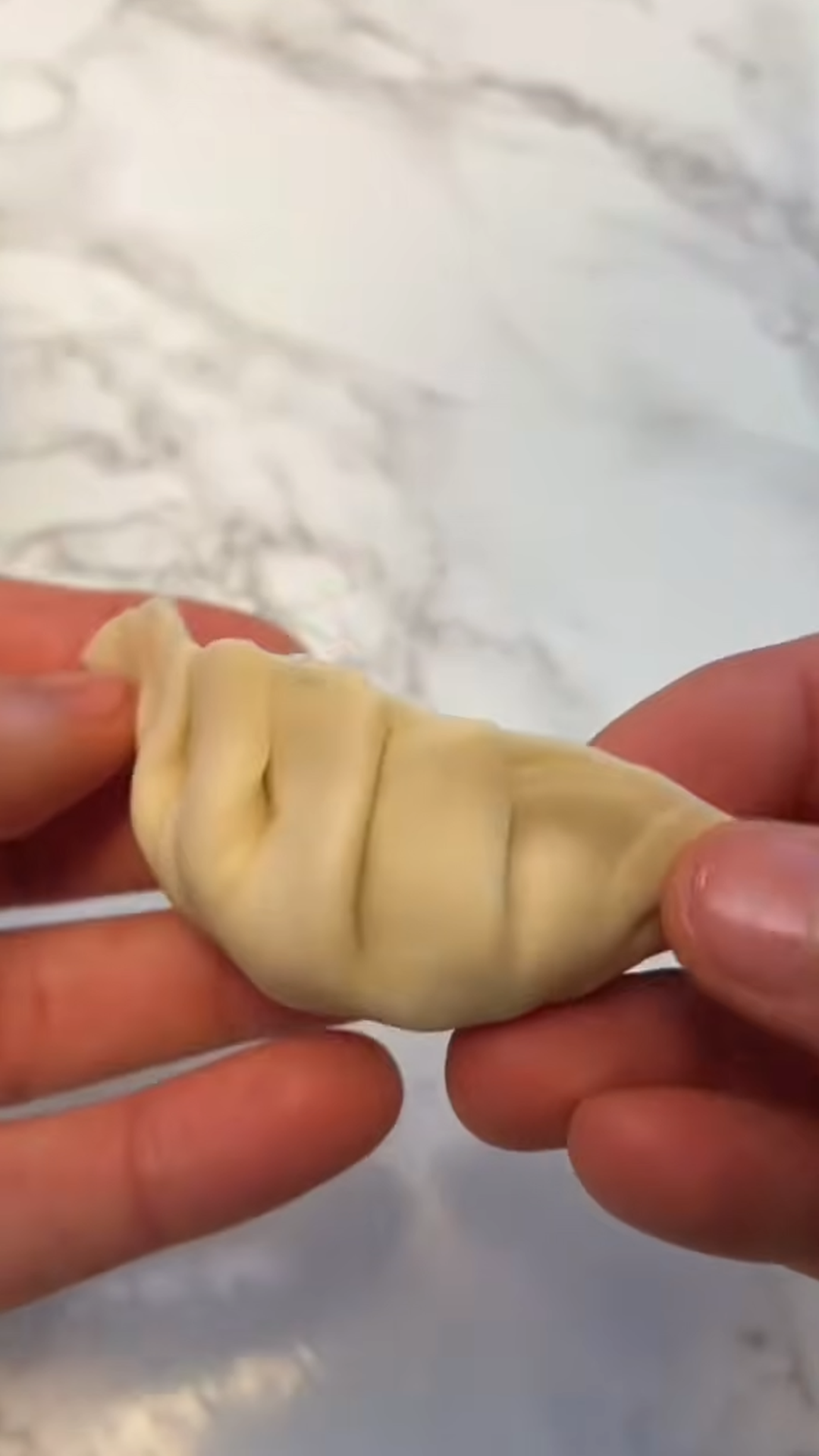 How to fold and cook homemade vegan gyoza