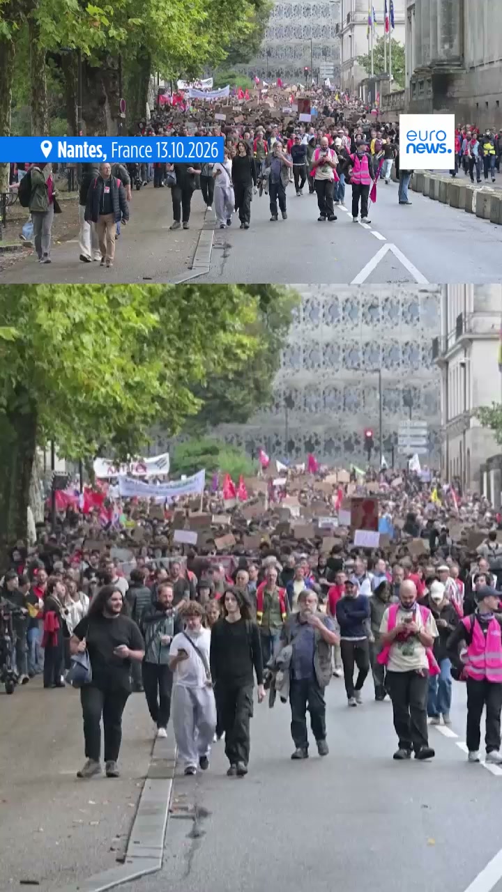 Dozens arrested as protesters clash with security forces in Paris