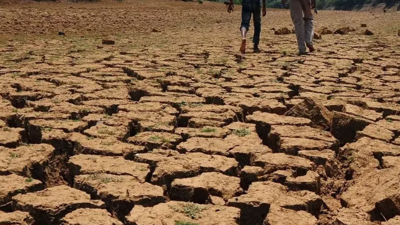 Monsoon deficit strains Maharashtra: 19% rain shortfall hits reservoirs ...
