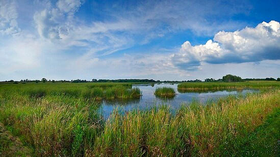 In 1927, Wisconsin decided to re-flood farmland that had replaced ...