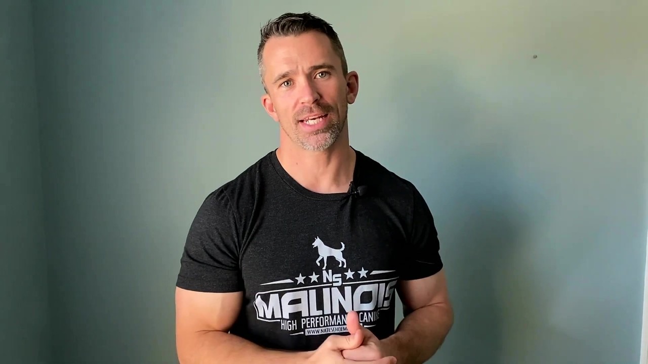 Nate Schoemer breaks down fear and aggression in dogs (part 2)