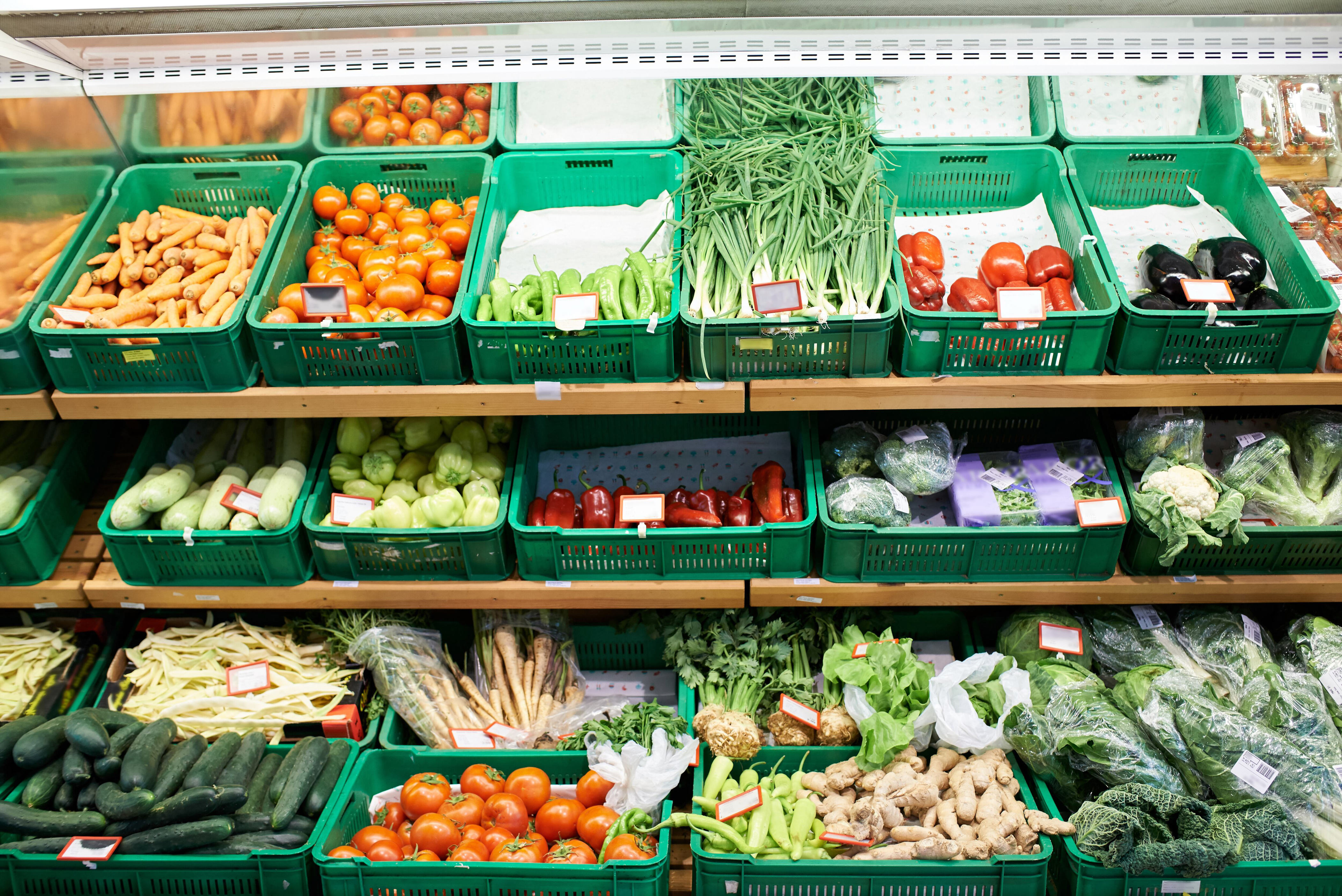 ASU launches mentorship program to grow more organic farmers