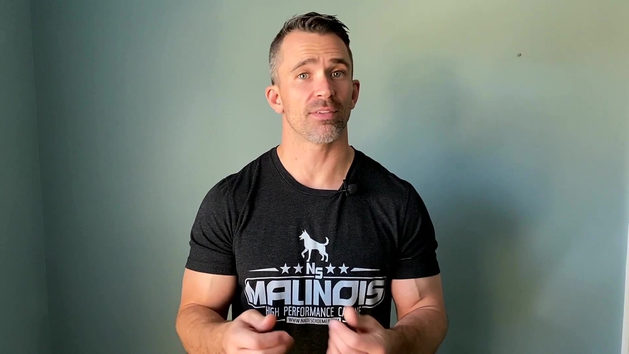 Nate Schoemer breaks down fear and aggression in dogs (part 3)