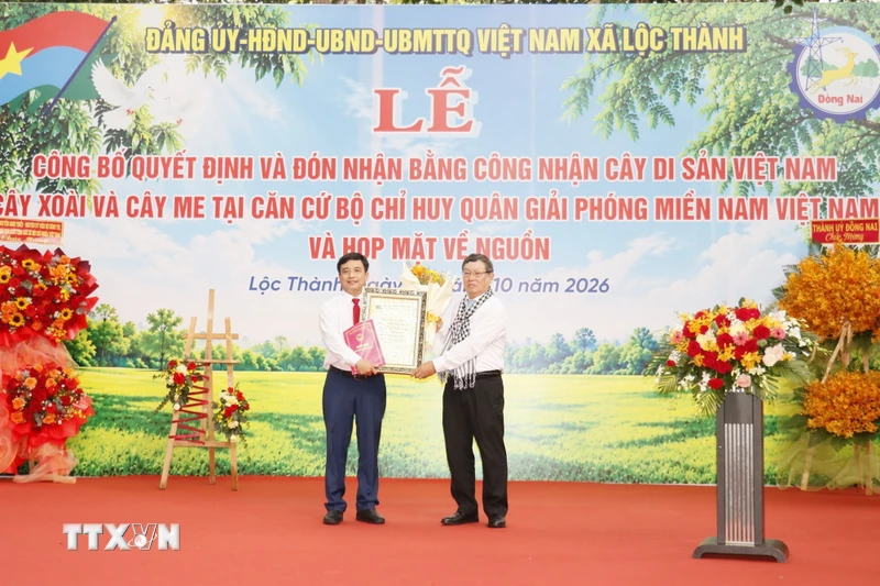Hai cây cổ thụ tại Căn cứ Bộ Chỉ huy Miền được công nhận Cây Di sản Việt Nam