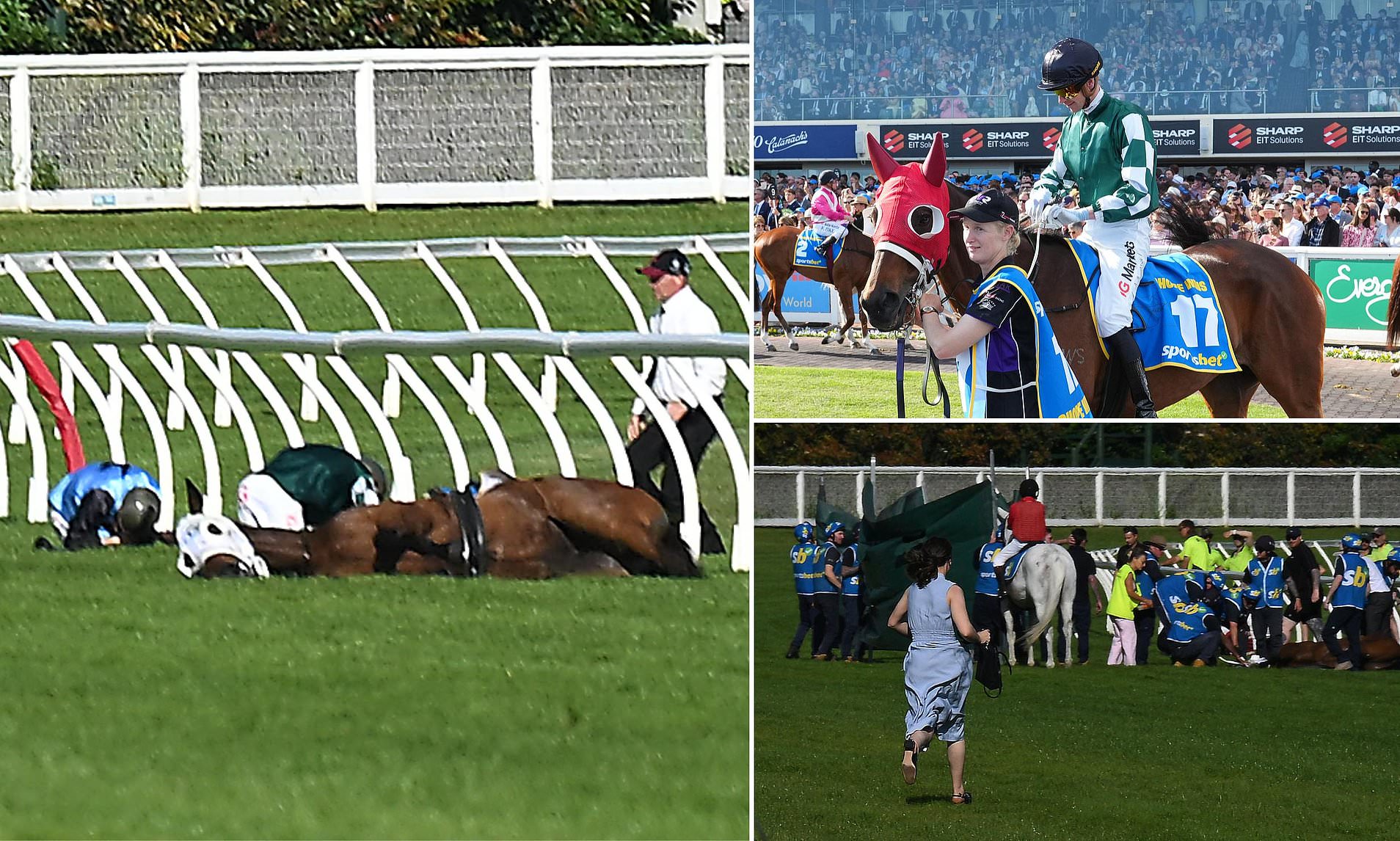 Caulfield Cup tragedy as Ohope Wins is euthanased after nasty fall near ...