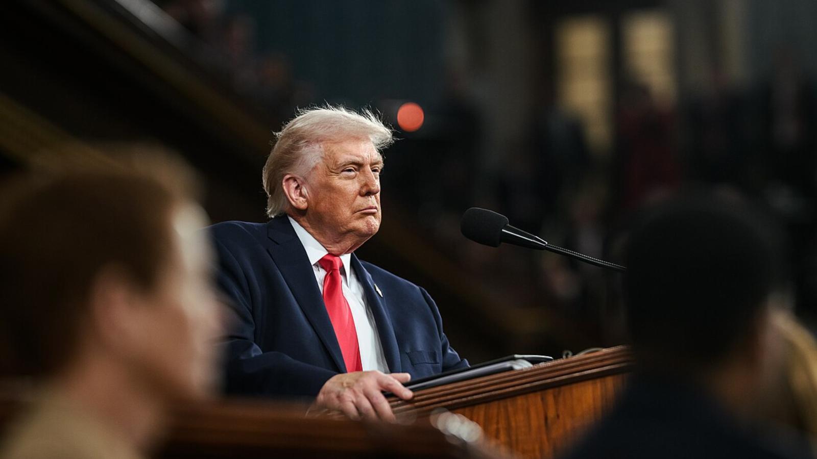 Country singer tells concert fans she is 'ashamed' President Donald ...