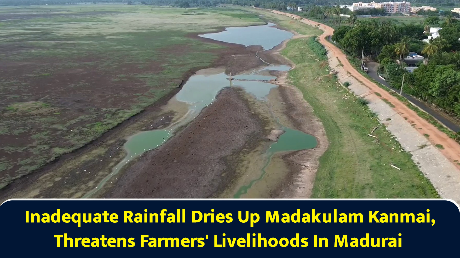 Inadequate rainfall dries up Madakulam Kanmai, threatens farmers ...