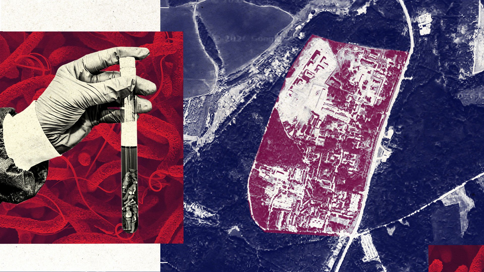 How Russia could unleash a bioweapon on the UK – from cholera to crop ...