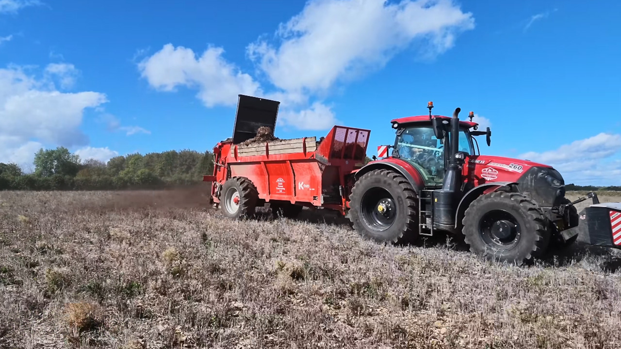 The ultimate soil improvement strategy using composted tree waste
