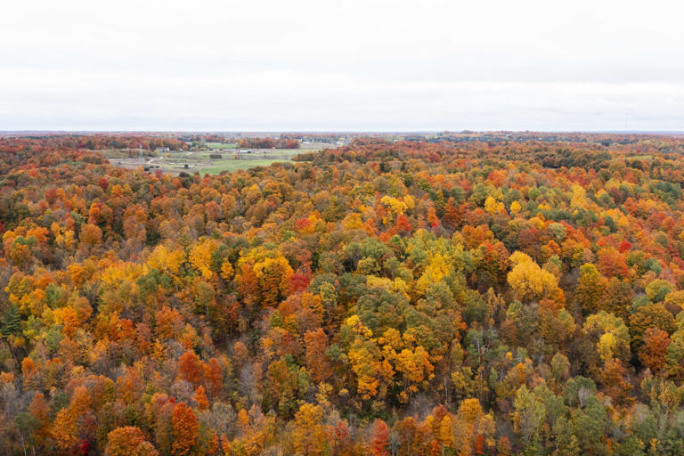Fall has arrived in Northern Michigan and these photos show off the ...