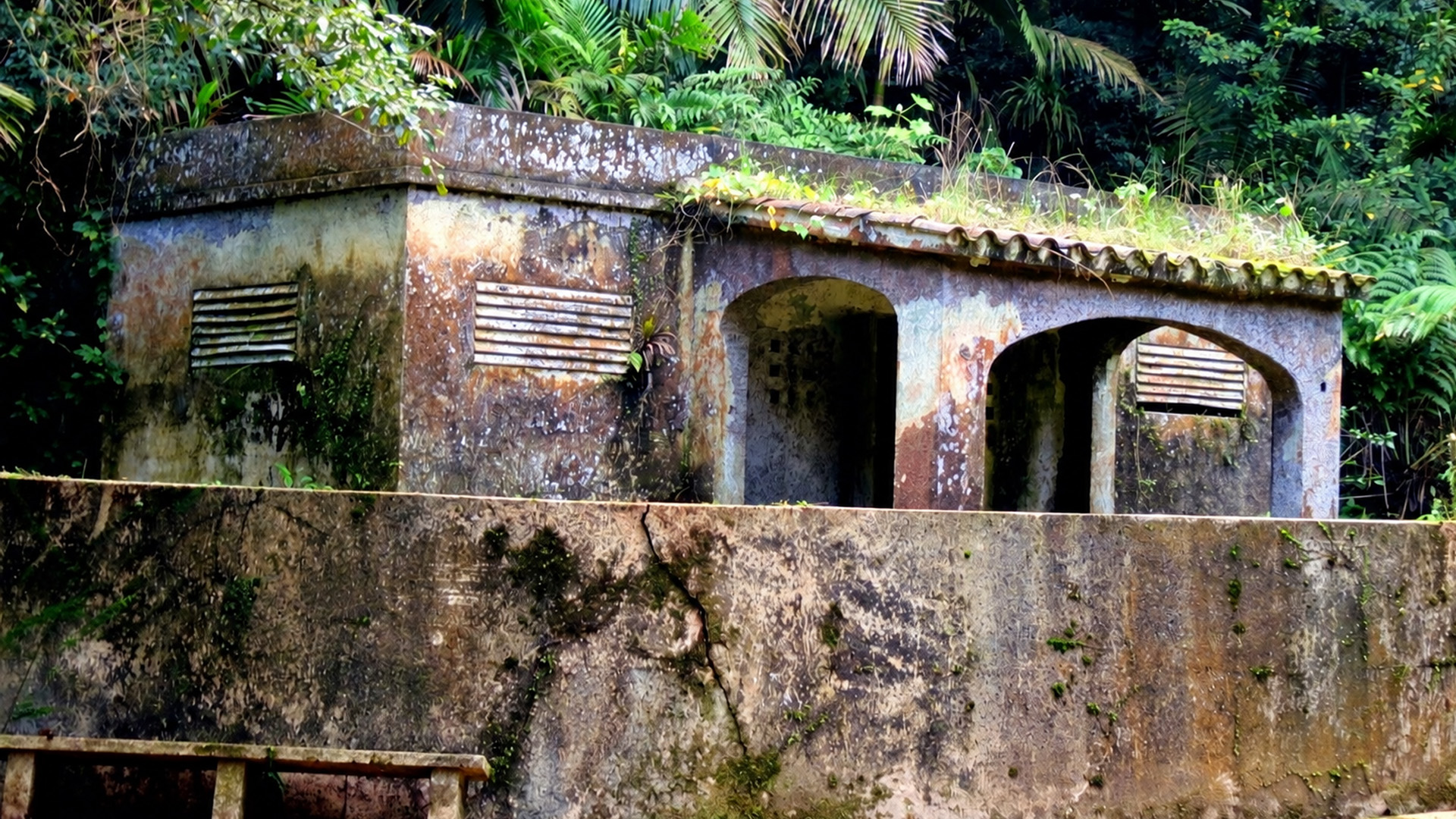 Abandoned swimming pool hidden in El Yunque rainforest