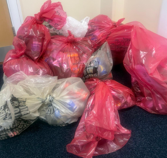 Doncaster pupils' litter pick in aid of hospital garden project