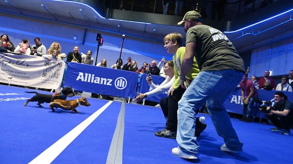 Hundefestival Dog World: Wenn Zwergdackel Frieda das Feld von hinten ...