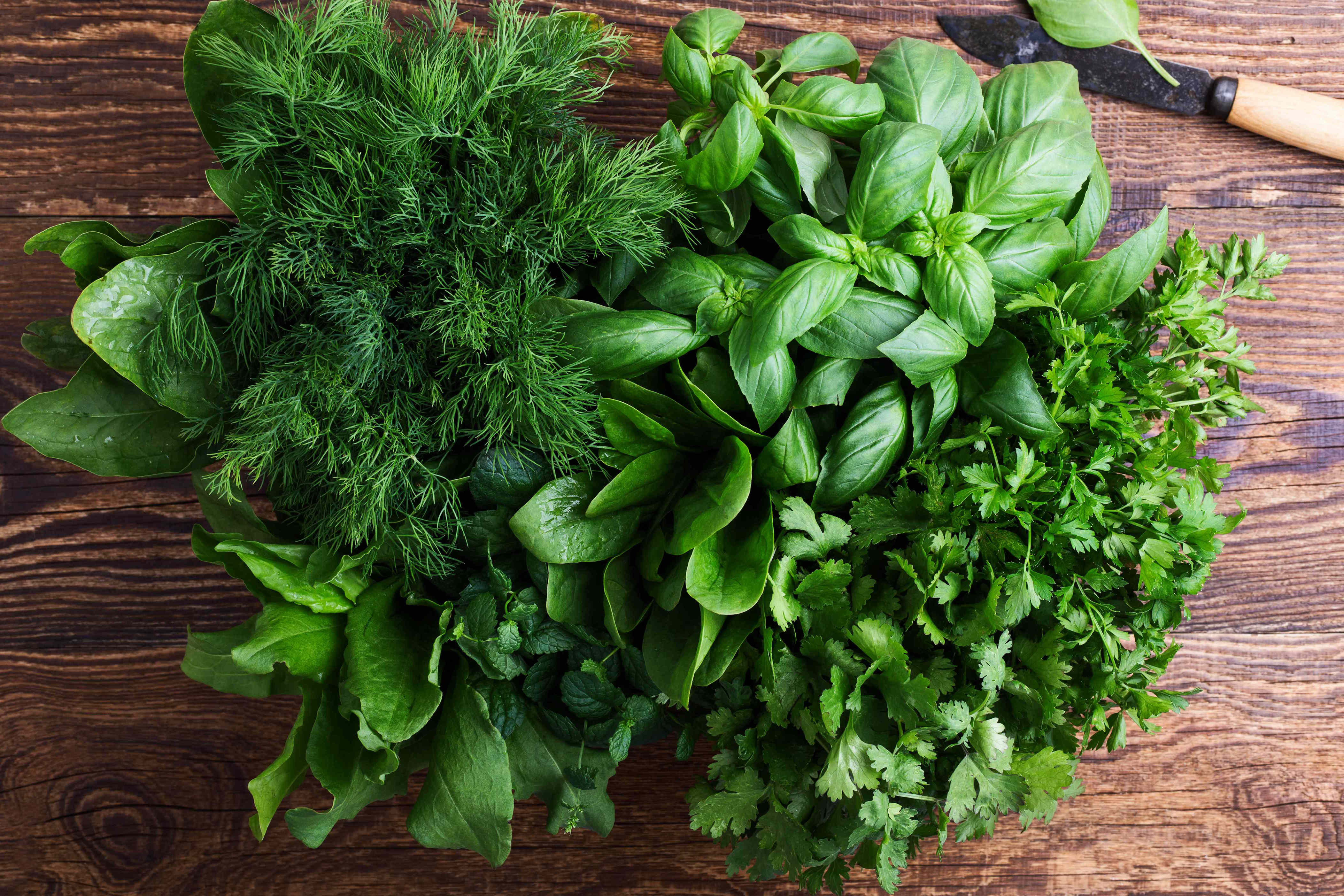 What's the difference between hard and soft herbs?