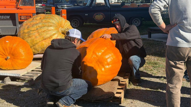 Mount Morris hosts giant pumpkin contest and trunk-or-treat