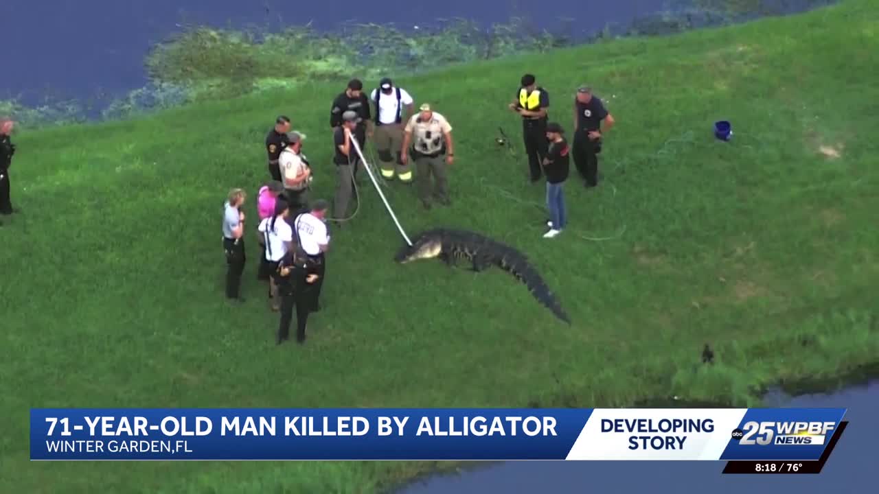 71-year-old man dies after alligator attack in Winter Garden