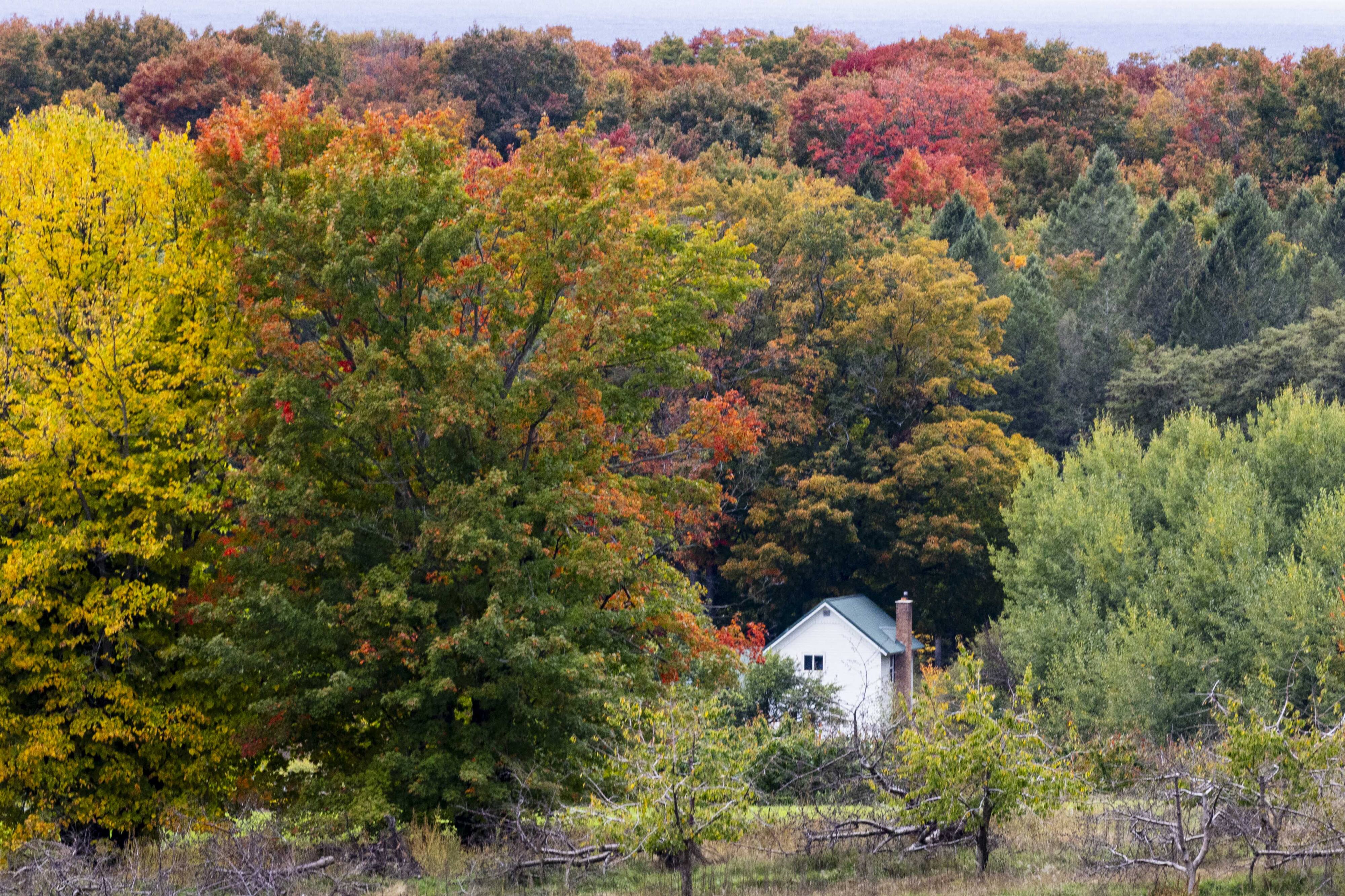 Fall has arrived in Northern Michigan and these photos show off the ...