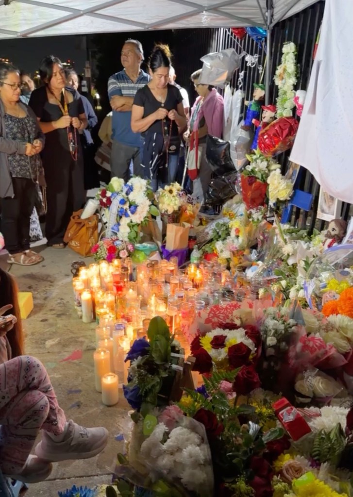 Father’s execution of two sons leaves LA family shattered — as his ...