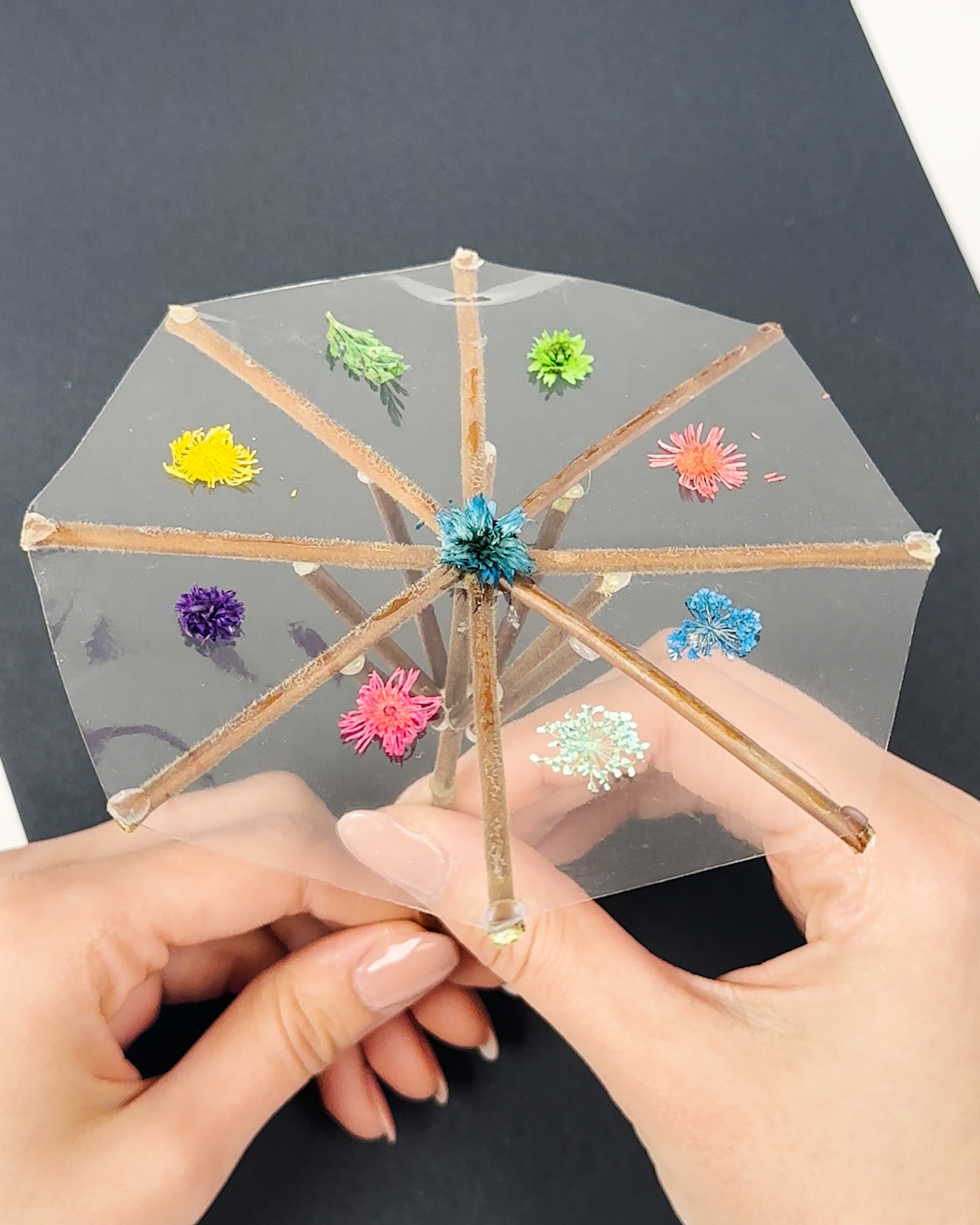 Ce petit parapluie vient de voler la vedette 😍☂️