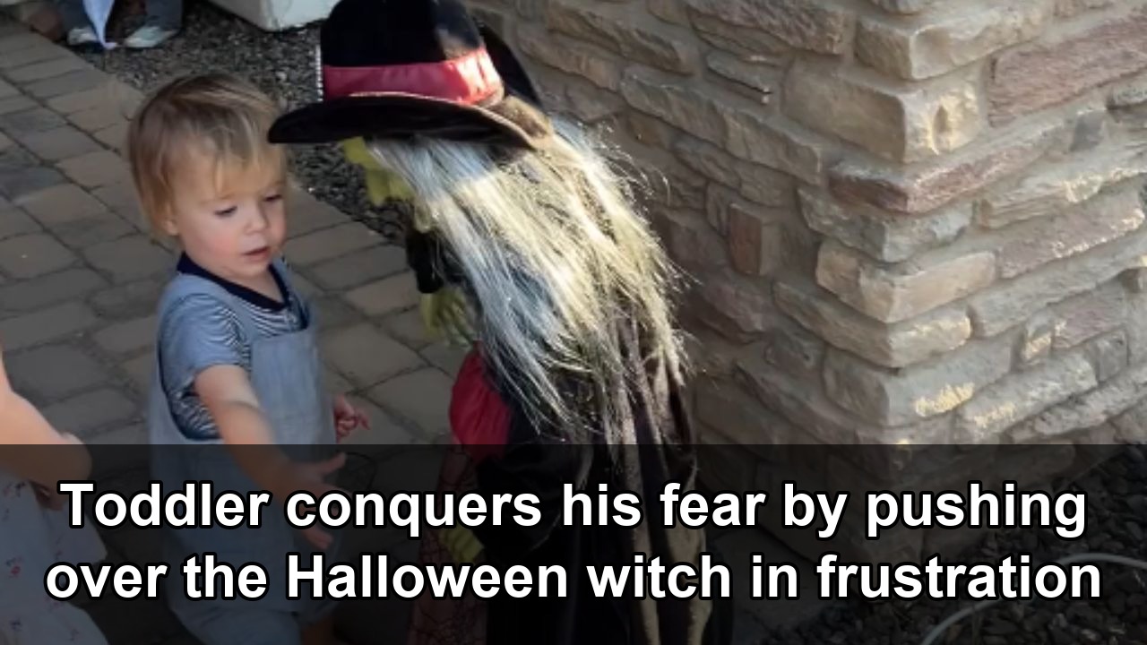 Halloween decoration frustrates a toddler who finally takes on the ...