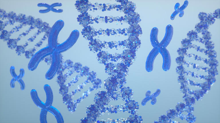 'Junk DNA' may actually play a vital role in gene control